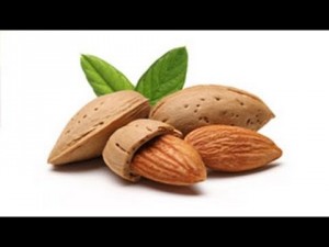 الركب الداكنة