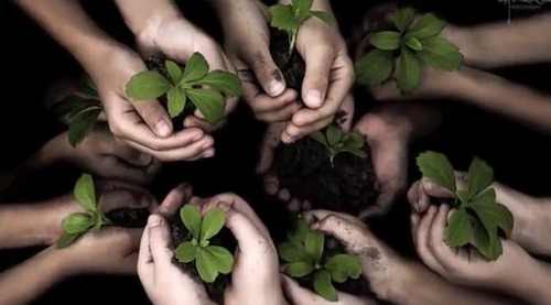 بلوغ سن الثلاثين