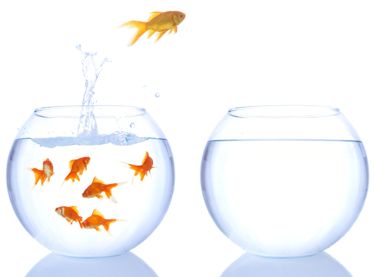 الخروج من منطقة الراحة