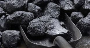 فوائد الفحم