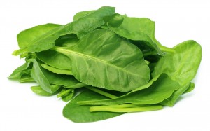 Closeup of fresh Spinach over white background