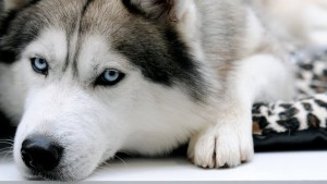 التمارين التي تساعدك على زيادة الإبداع 