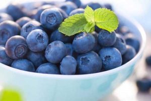 التوت الازرق فاكهة مفيدة للجسم