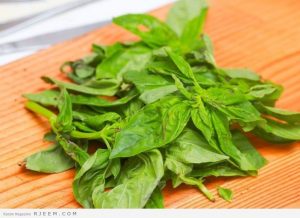 الحبق نبات له فوائد كبيرة تعرف عليها